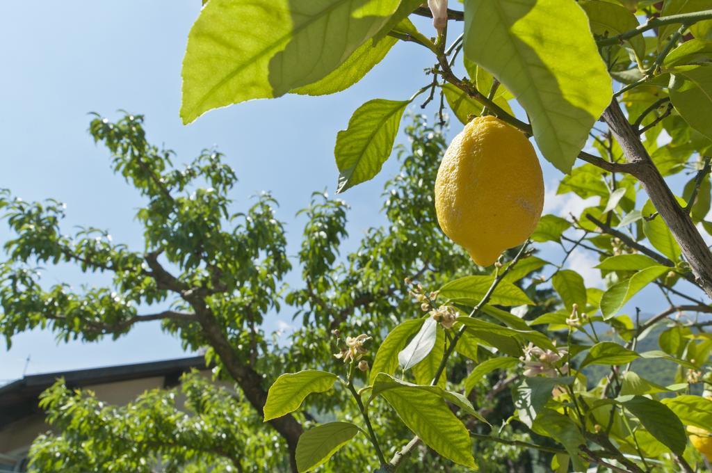Ferienwohnungen Atz 泰尔梅诺 外观 照片